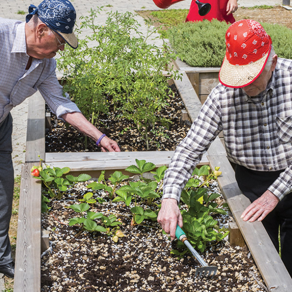 Heliopolis<br> Ortoterapia 2025