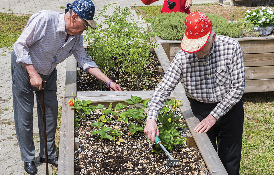 Heliopolis<br> Ortoterapia 2025