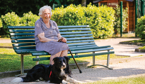 Valentino <br>Pet Therapy