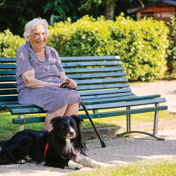 Valentino <br>Pet Therapy