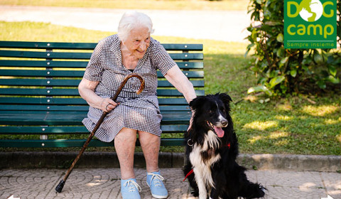 Villa Antea <br> Amici con la coda <br> Dicembre