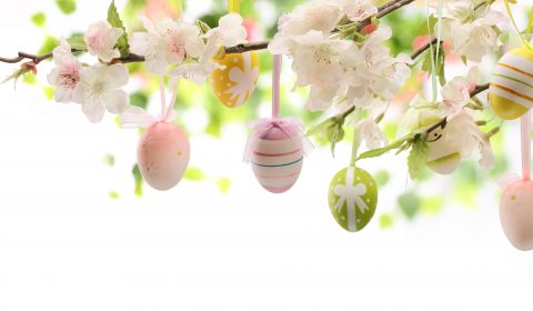 Santa Marta<br>Pranziamo insieme