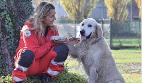 santa Lucia<br>Sguardi d’amore