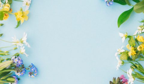 Smeralda<br>Eventi di Primavera 20’26