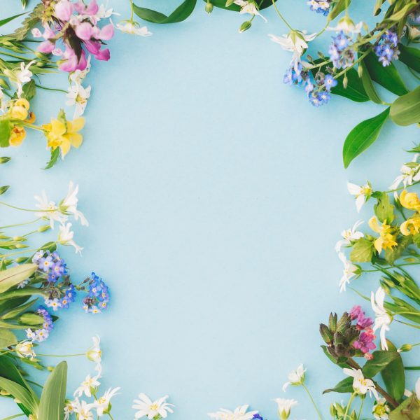 Smeralda<br>Eventi di Primavera 20’26