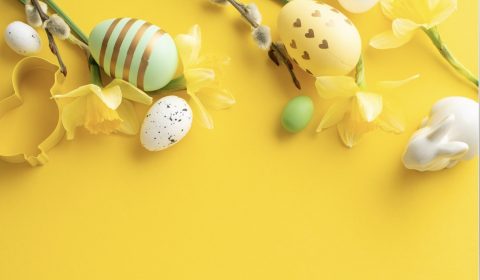 Saccardo<br>Buona Pasqua 2026!