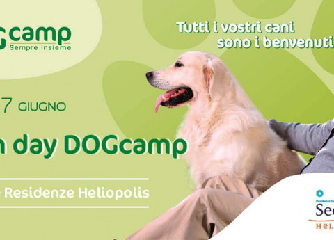 Dog Camp: anziani e cani finalmente insieme