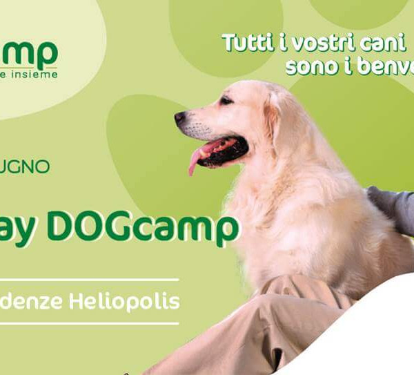 Dog Camp: anziani e cani finalmente insieme