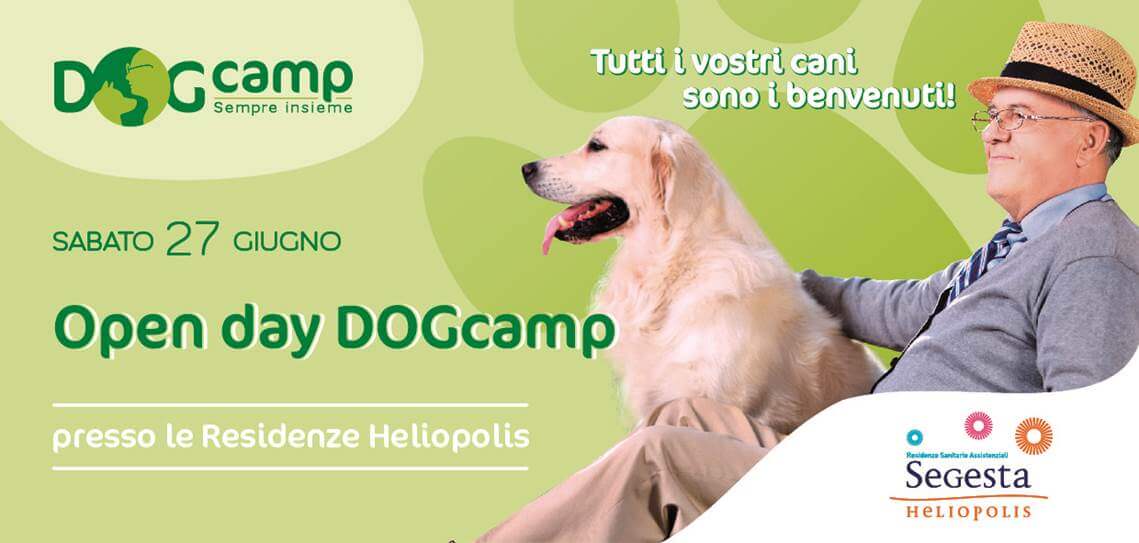 Dog Camp: anziani e cani finalmente insieme