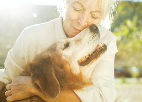 Il linguaggio dei cani: corso di Comunicazione per Cani a Binasco