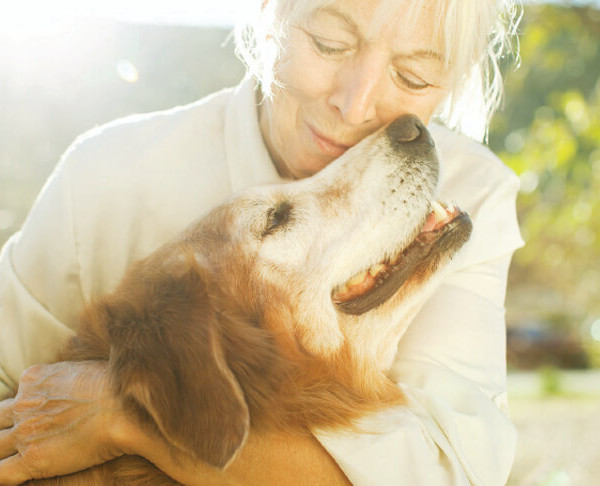 Il linguaggio dei cani: corso di Comunicazione per Cani a Binasco