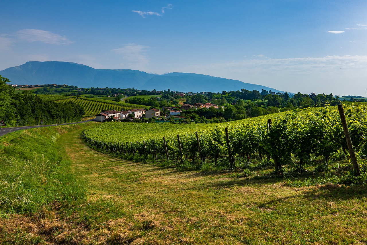 Istituto Padre Pio, una certezza tra le splendide colline del Veneto