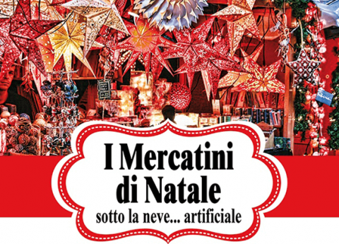 Il Centro Diurno Nuova Fenice in gita ai Mercatini di Natale