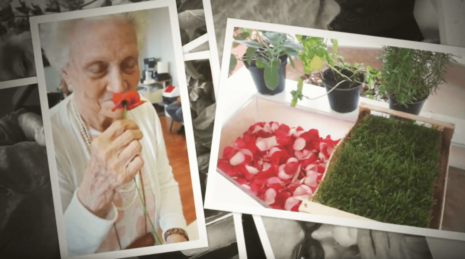 Il Giardino dei Sensi: l’ortoterapia per la salute degli anziani