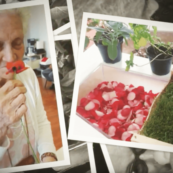 Il Giardino dei Sensi: l’ortoterapia per la salute degli anziani