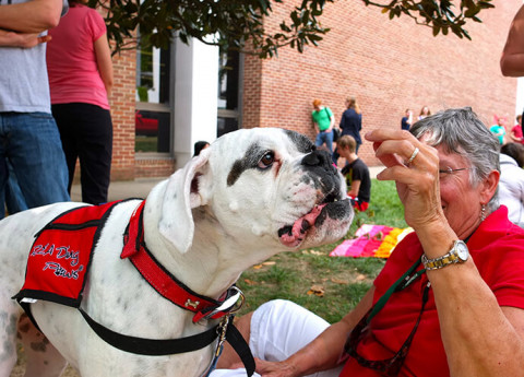 "Truman": un film che ci parla di Pet Therapy
