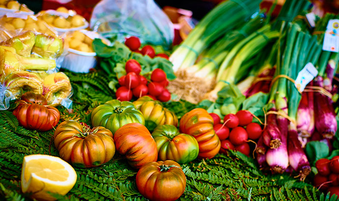 bronchite negli anziani