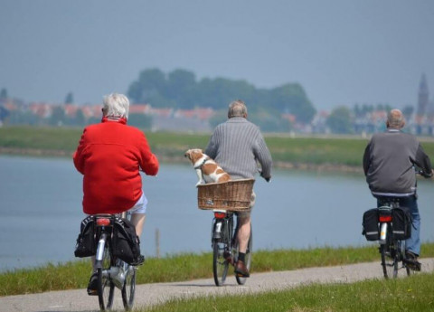 Colesterolo alto, un pericolo per gli anziani