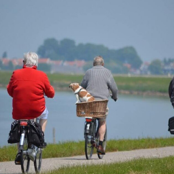 Colesterolo alto, un pericolo per gli anziani