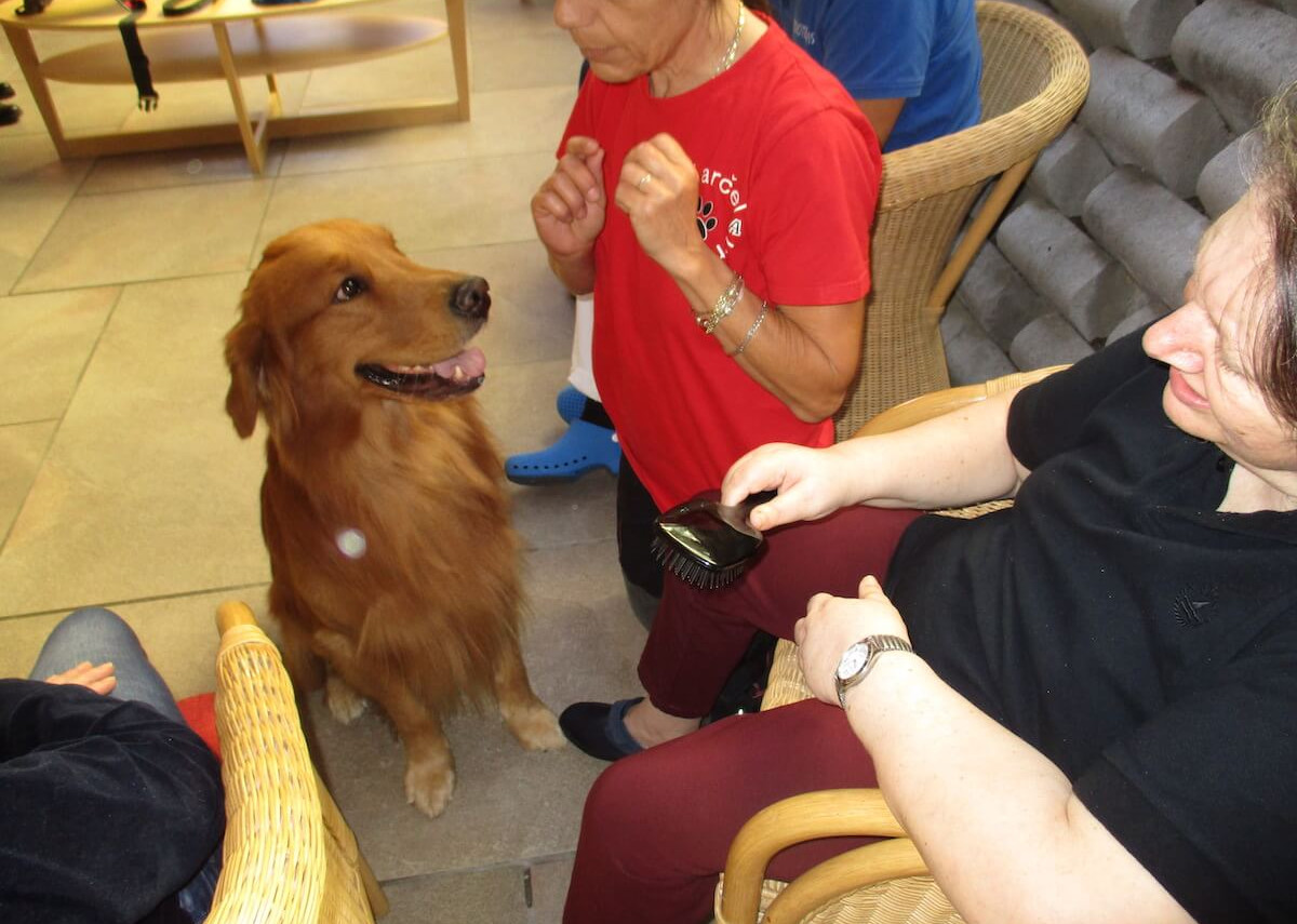 Pet Therapy all’Istituto Padre Pio