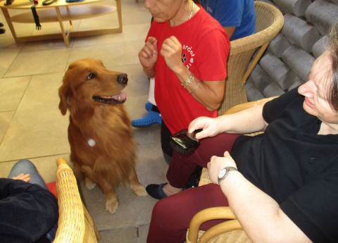 Pet Therapy all’Istituto Padre Pio