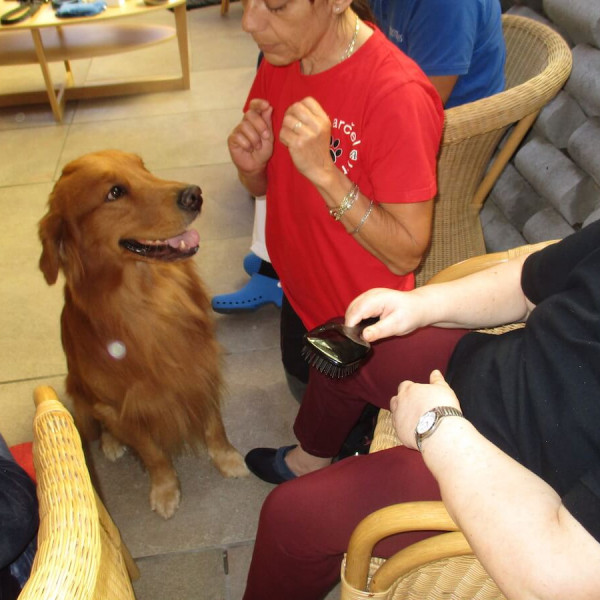 Pet Therapy all’Istituto Padre Pio