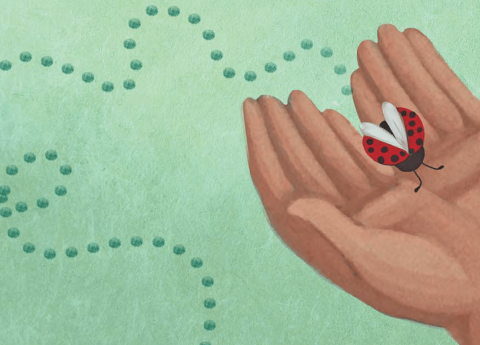 Nonno, mi racconti una fiaba? Ecco: Il nonno e la coccinella