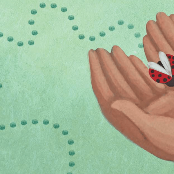 Nonno, mi racconti una fiaba? Ecco: Il nonno e la coccinella