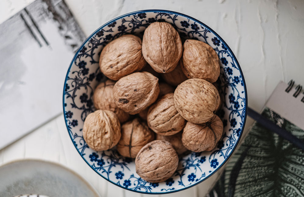 noci frutta secca dieta anziani