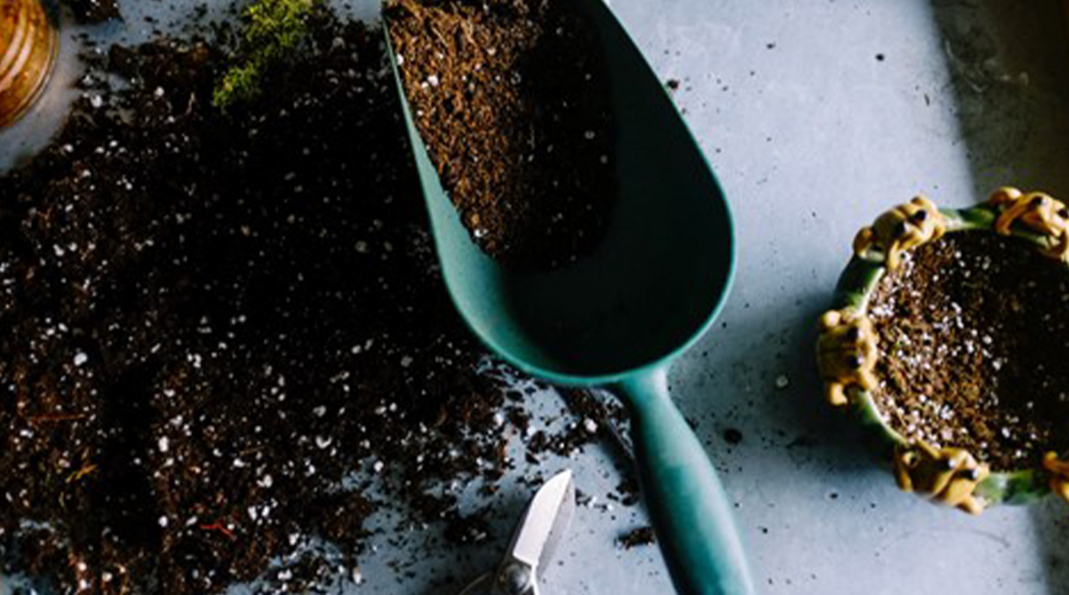 Giardino in terrazza: benefici per tutte le età