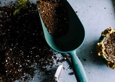 Giardino in terrazza: benefici per tutte le età