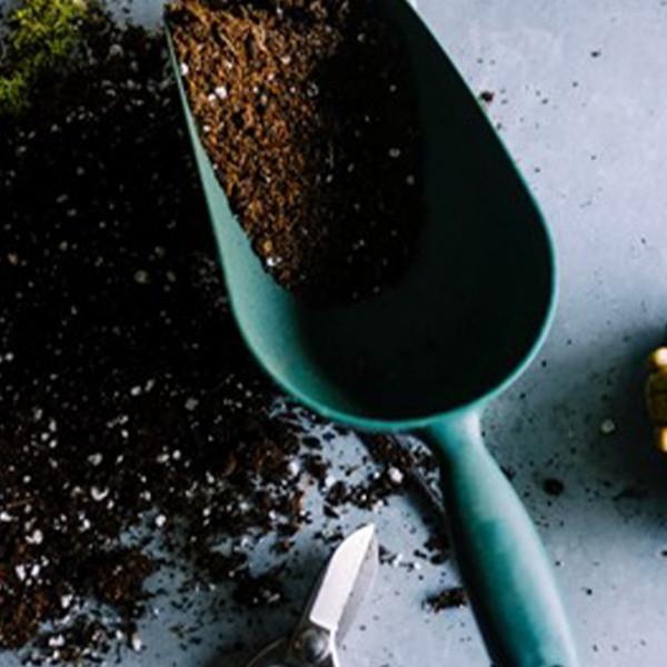 Giardino in terrazza: benefici per tutte le età