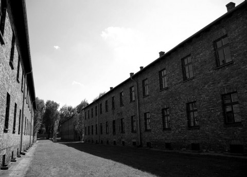 Ogni giorno un giorno della memoria