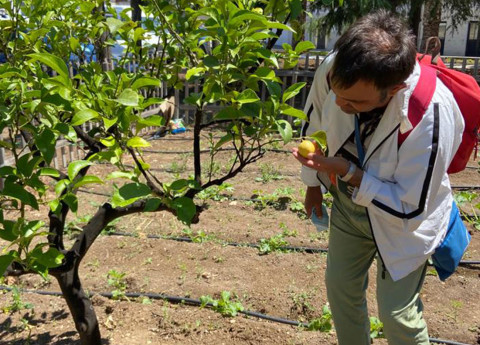 Tutti i benefici dell’Ortoterapia alla struttura Nuova Fenice
