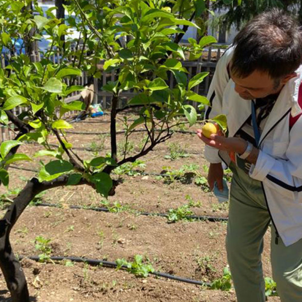Tutti i benefici dell’Ortoterapia alla struttura Nuova Fenice