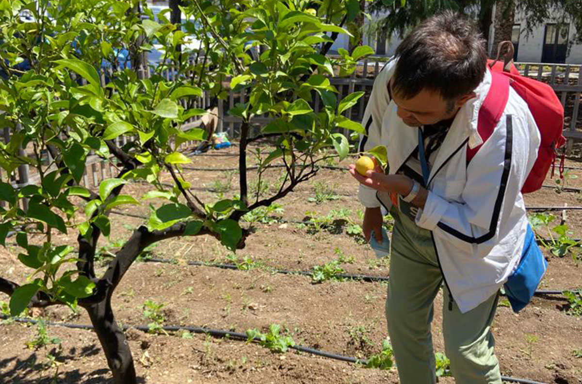 Tutti i benefici dell’Ortoterapia alla struttura Nuova Fenice
