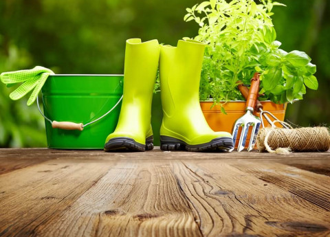 TERAPIA ORTICOLTURALE