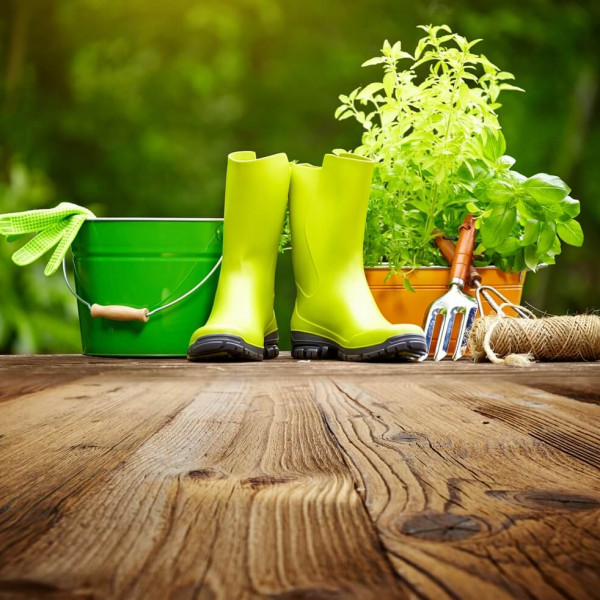 TERAPIA ORTICOLTURALE