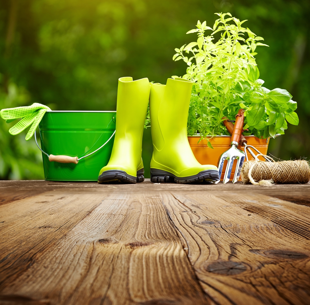 orticultura-saccardo-casa di riposo-anziani