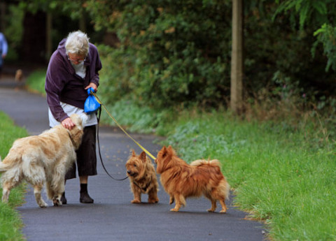 Pet Therapy per Anziani: un'Italia all'avanguardia