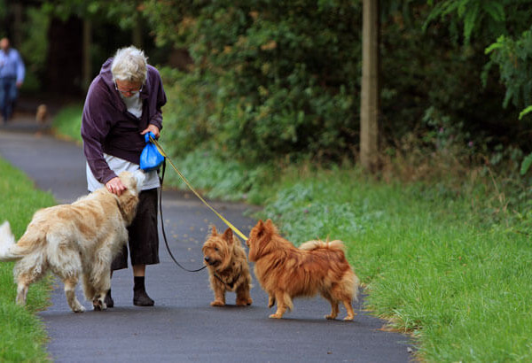 Pet Therapy per Anziani: un'Italia all'avanguardia