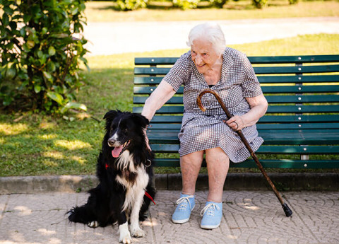 Anziani e Cani: l'importanza della pet therapy