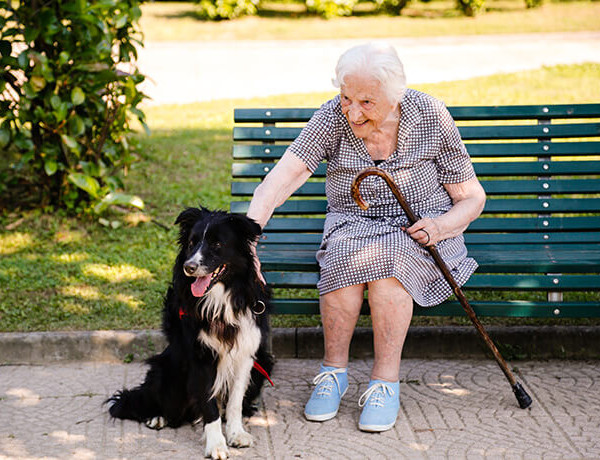 Anziani e Cani: l'importanza della pet therapy