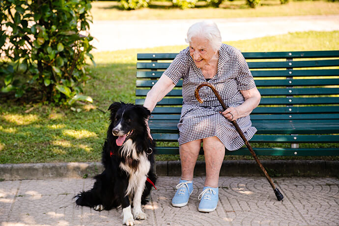 Anziani e Cani: l'importanza della pet therapy