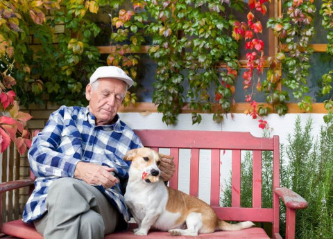 Ability Dog… Educatori Speciali