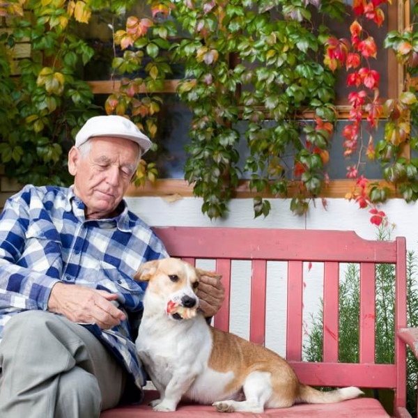 Ability Dog… Educatori Speciali