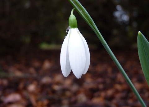 7 segreti contro la stanchezza primaverile