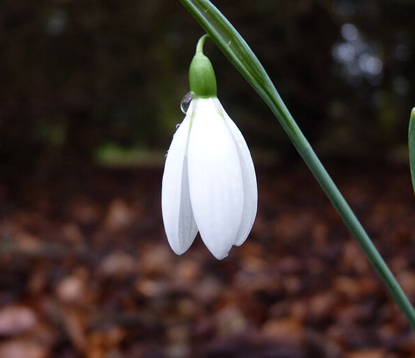 7 segreti contro la stanchezza primaverile