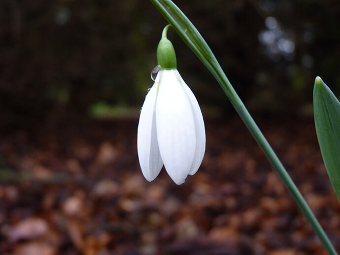 7 segreti contro la stanchezza primaverile