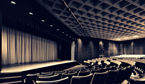 La Certosa di Pavia<br>Progetto di teatro sociale